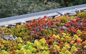the cost of Achnacarnin green roof installation