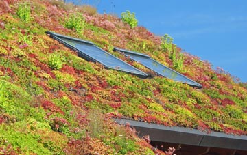 Achnacarnin living roof systems
